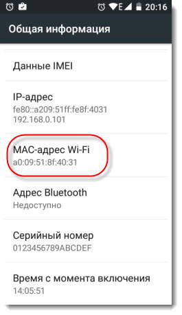 mac в смартфоне